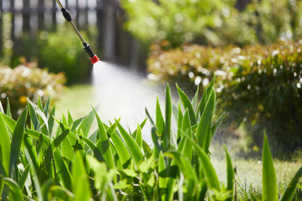 24/7 Emergency Ant Control experts in Mount Morris, MI