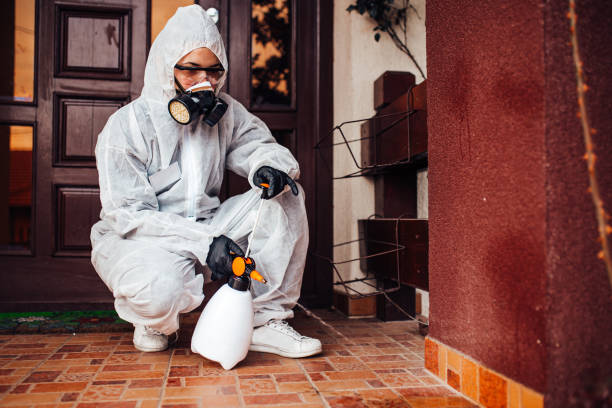 Reliable Ant Control contractor in Mount Morris, MI by Show Me Pest Control