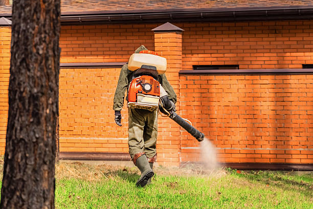 Top rated local Ant Control specialists in Mount Morris, MI